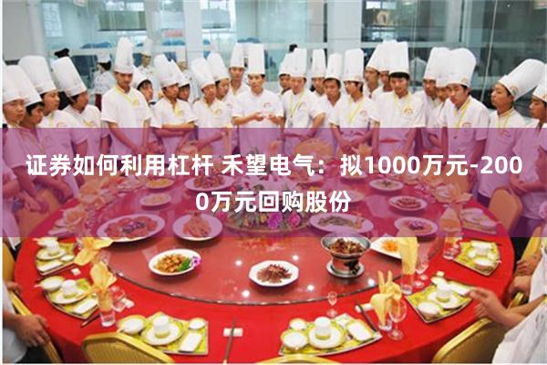 证券如何利用杠杆 禾望电气：拟1000万元-2000万元回购股份