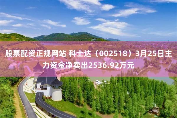 股票配资正规网站 科士达（002518）3月25日主力资金净卖出2536.92万元