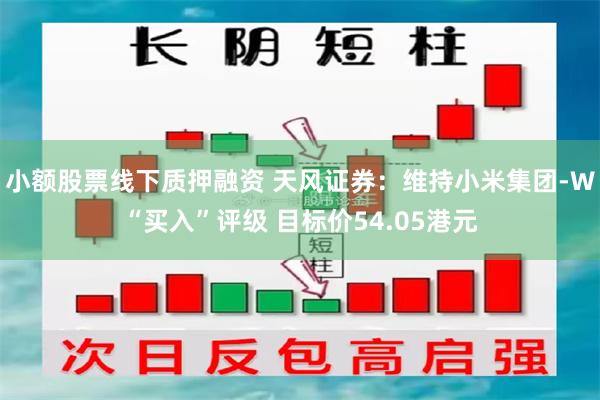 小额股票线下质押融资 天风证券：维持小米集团-W“买入”评级 目标价54.05港元