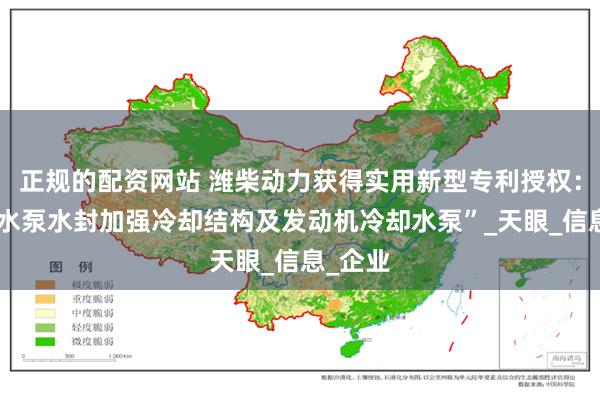 正规的配资网站 潍柴动力获得实用新型专利授权：“一种水泵水封加强冷却结构及发动机冷却水泵”_天眼_信息_企业
